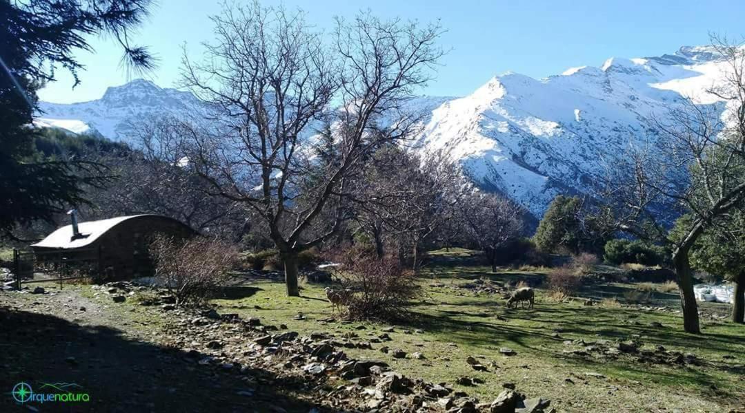 Casa De Cata Lejlighed Güéjar Sierra Eksteriør billede